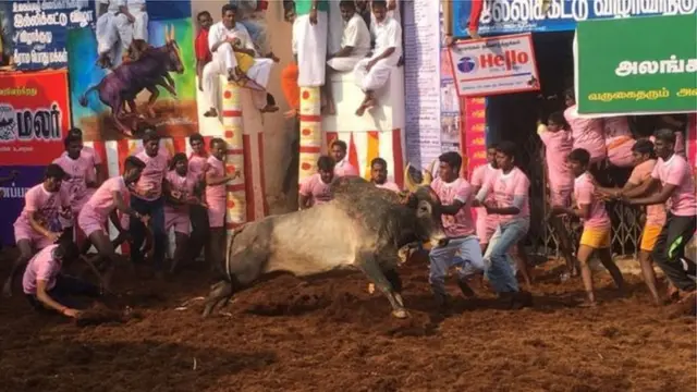 తమిళనాడులో జల్లికట్టు