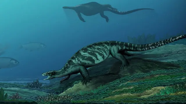 Artist's impression of the earliest known stem turtle