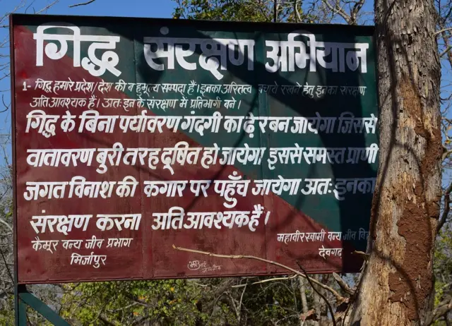 गिद्ध संरक्षण अभियान