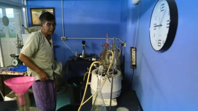 Ganja, marijuana, Thailand