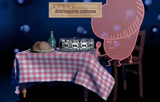 Animation de nitrospira nitrosa en train de manger