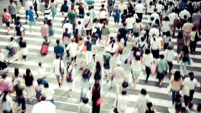 В прошлом году число сообщений о "кароси" достигло рекордно высокого уровня