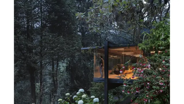 Delapan rumah hutan terbaik di dunia.