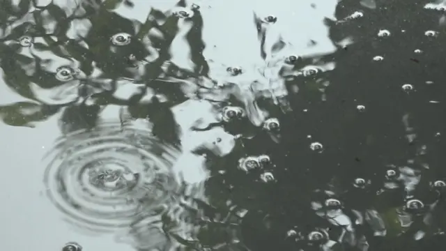 గుంటూరులో డయేరియా