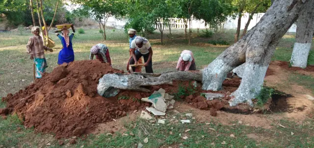 పిల్లలమర్రి
