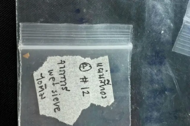 แผ่นทองคำขนาดเล็กจิ๋วที่พบโดยไม่ได้ตั้งใจ