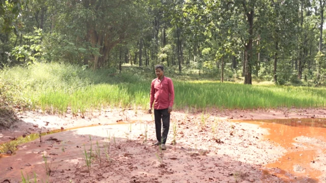 सुरजागडमधील लाल पाणी