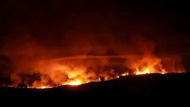 Лесной пожар ночью, оранжевый огонь на фоне темного неба