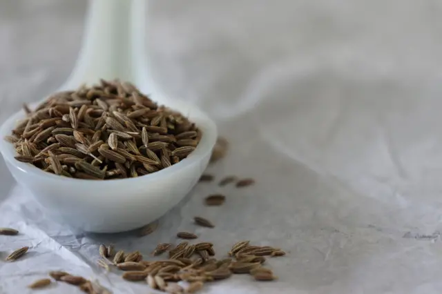 ગુજરાત, જીરું, જીરાનો ભાવ, ઊંઝા, એપીએમસી, બીબીસી ગુજરાતી, ગુજરાતમાં જીરું, ગુજરાતના ખેડૂતો, ગુજરાતમાં ખેતી, જીરું નિકાસ
