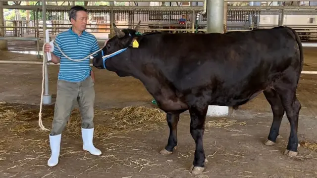 Karatsu Maeda Livestock Co
