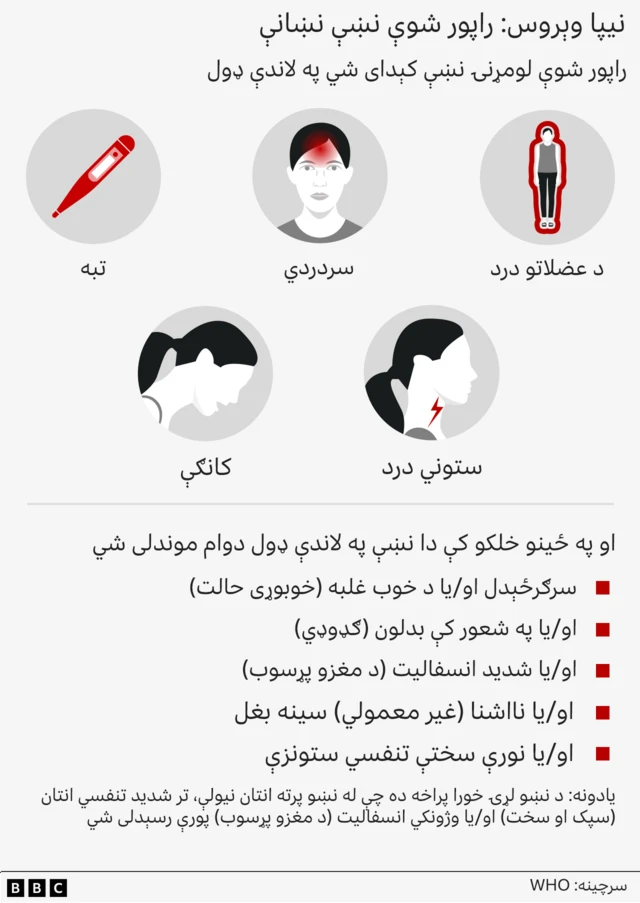 Graphic showing symptoms of Nipah virus