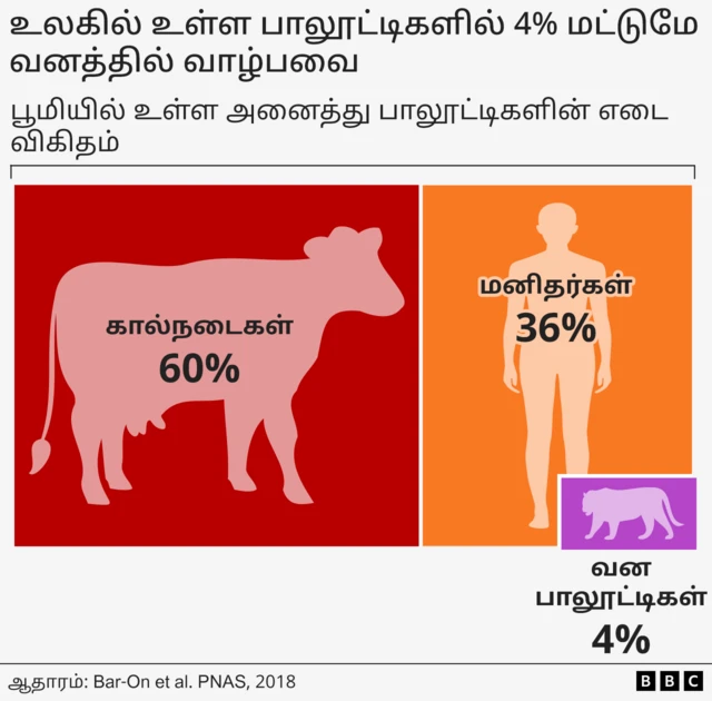பூமியில் உள்ள பாலூட்டிகளின் எடையின் (அல்லது உயிர் எடை - biomass) விகிதத்தைக் காட்டும் விளக்கப்படம் - 60% கால்நடைகள், 36% மனிதர்கள் மற்றும் 4% காட்டு பாலூட்டிகள்.