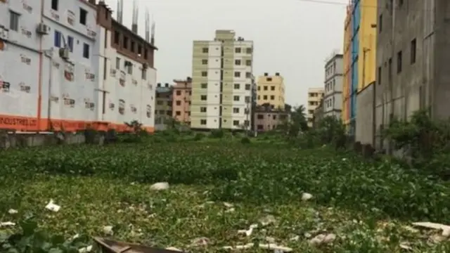 রানা প্লাজা