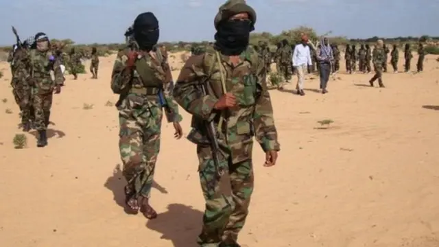 Wapiganaji wa Al shabab