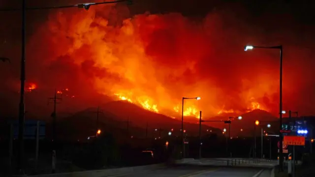 5일 00시48분쯤 동해시 망상동 인근 야산까지 번진 불