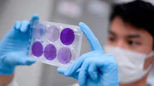 Lab technician with petri dishes