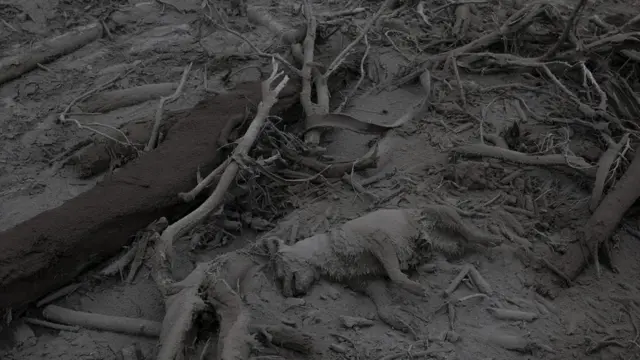 San Miguel Los Lotes quedó cubierta por ceniza.