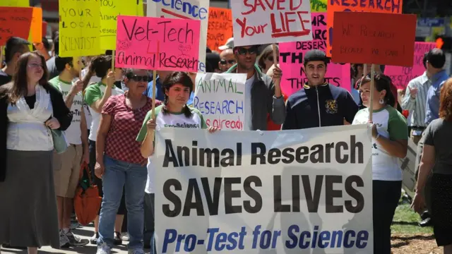 Ученые в Калифорнии