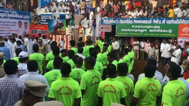 ஜல்லிக்கட்டு