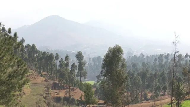 బాలాకోట్ ప్రాంతం