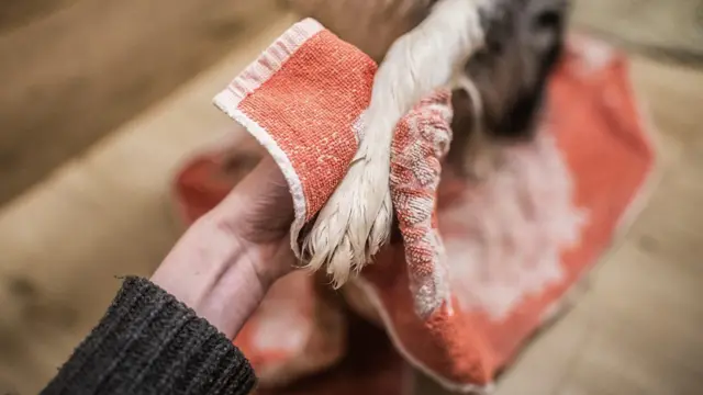 ሽጎማኖ ምስ ካልኦት ሰባት ብሓባር ትጥቀሙ እንተዀይንኩም፡ ደስ ዘይብል ነገር ከጋጥመኩም ዘሎ ሓደጋ ክብርኽ ይገብር