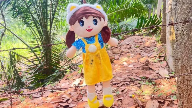 చిన్నారి, సెర్చ్ ఆపరేషన్, అడవులు, మిస్టరీ