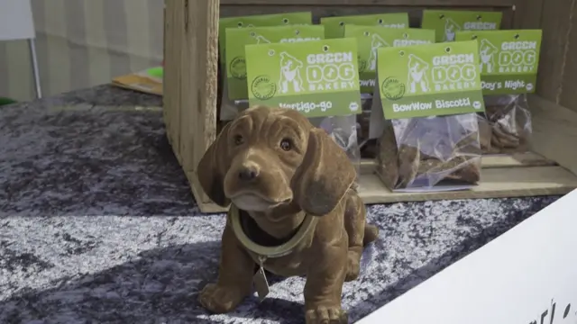 فستیوال وگان در برلین