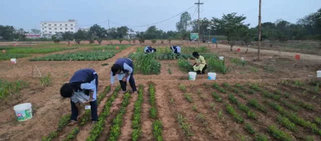 బాపట్ల అగ్రికల్చర్ కాలేజ్