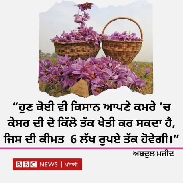 ਕੇਸਰ ਦੀ ਖੇਤੀ