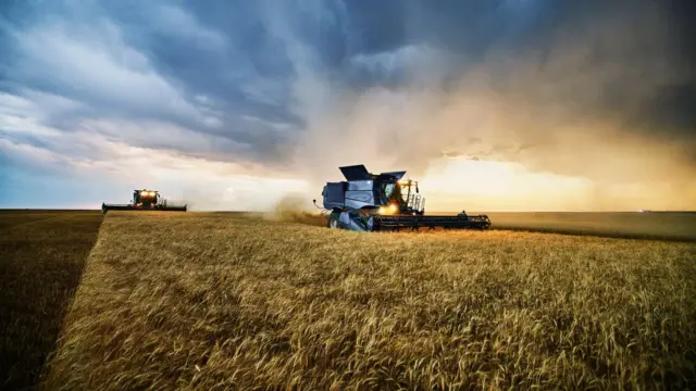 Colheita com tratores