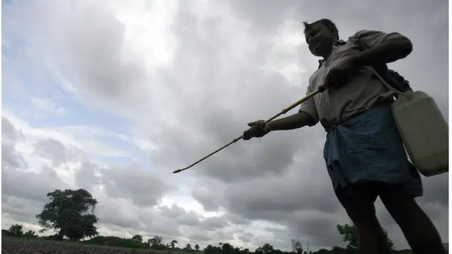 ఎన్ఐఎన్, పురుగు మందులు, పిల్లలు