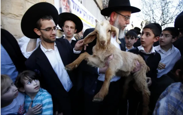 Keçi qurbanlığının mənşəyi yəhudilərin Misirdən çıxma rəvayətinə gedib çıxır.