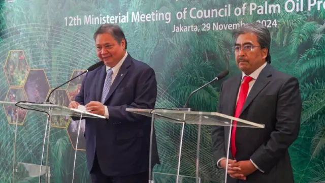 Menteri Koordinator Bidang Perekonomian Airlangga Hartarto saat konferensi pers CPOPC.