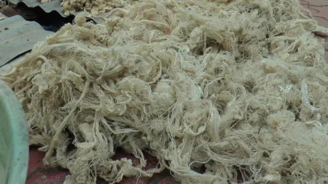 રેશમની તસવીર