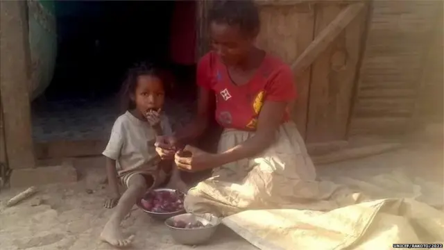 ਫੇਫਿਨਿਆਨਾ