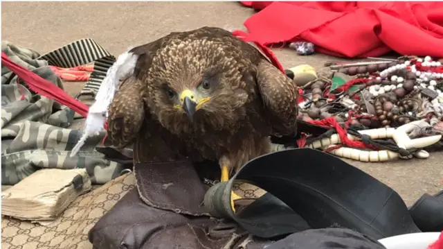 Ikwuikwu na ọgwụ