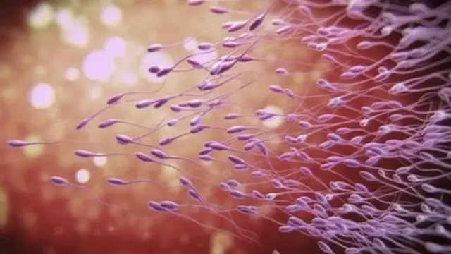 Porno mogul qizlar siyish qachon ular sperma