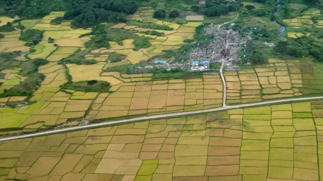 పంట పొలాలు