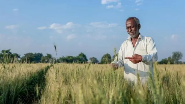 प्रातिनिधिक फोटो