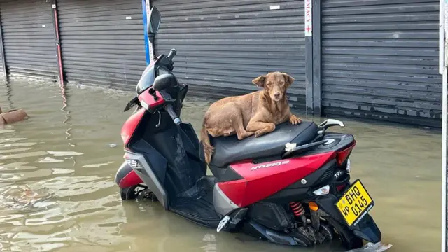 இலங்கை, திட்வா புயல், பாதிப்பு, மழை பாதிப்பு