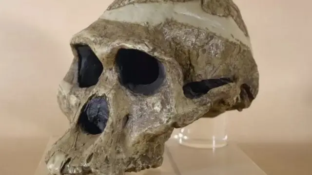 குகைவாழ் பெண்