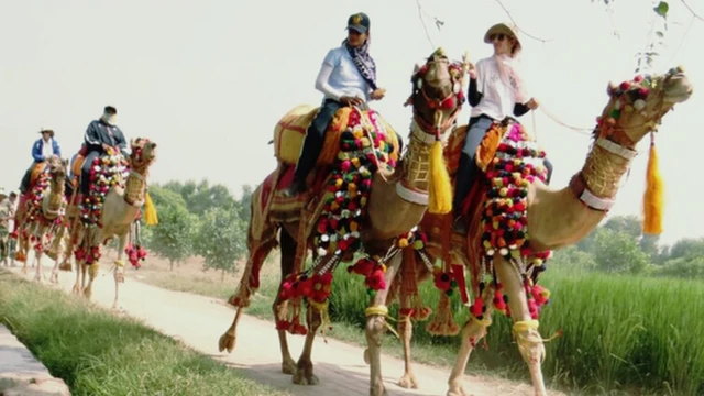 ઉંટ પર સવાર બીએસએફની સૈનિકો