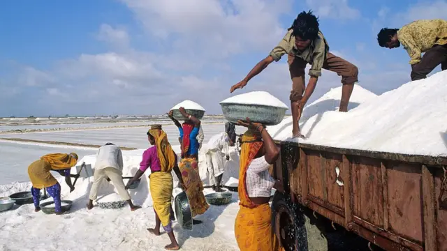 कच्छ का मैदान