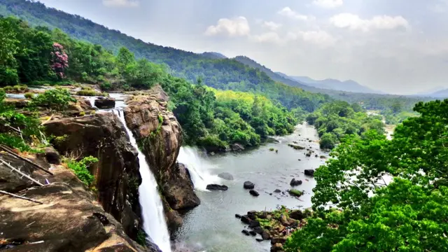மேற்குத்தொடர்ச்சி மலை