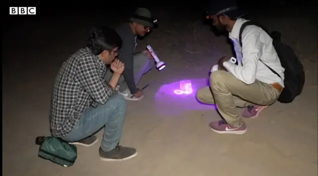 తేళ్లు పట్టుకుంటున్న లాహోర్ యూనివర్సిటీ విద్యార్థులు