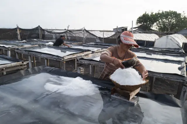 Ilustrasi petambak garam.