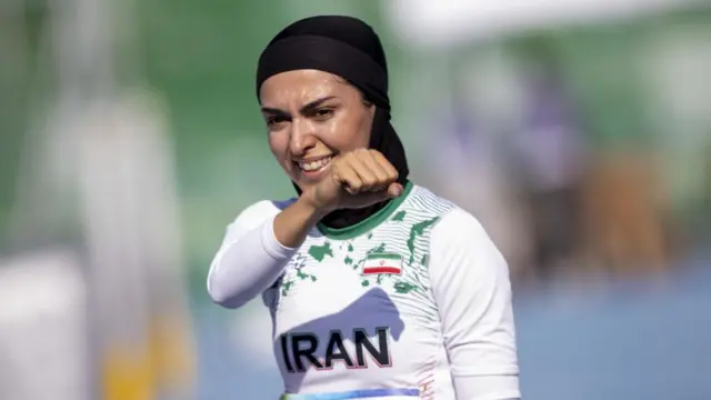 فرزانه فصیحی