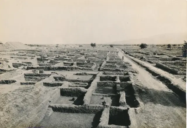  سِرکپ کی تصویر