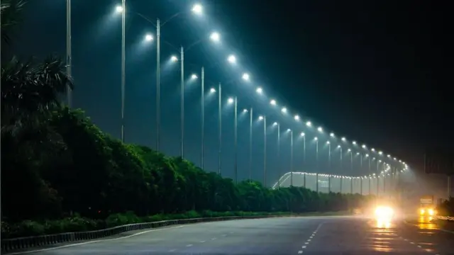 రాత్రి పూట వెలుగుల వల్ల జంతువుల జీవన విధానం మీద కూడా ప్రభావం పడుతోంది