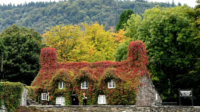 осень в Британии